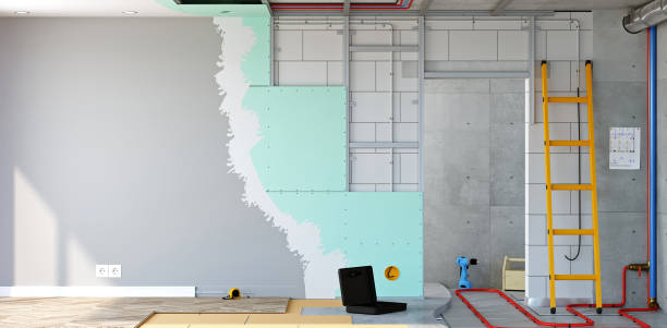 Best Commercial Painting  in Maple Grove, MN